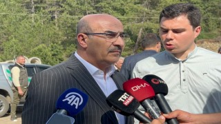 Bursa Valisi açıkladı: 100 hektar orman alanı yandı