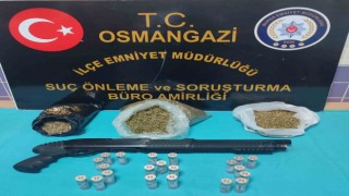 Bursada 1 kilo 437 gram bonzai yakalandı