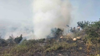 Bursada 1,5 hektar otluk alan yandı