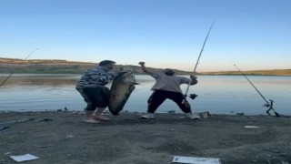 Bursada 165 santimetrelik balık tutan iki arkadaşa para cezası