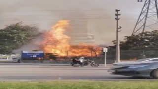 Bursada AVM bahçesinde yangın: Ağaçlık alan alev alev yandı