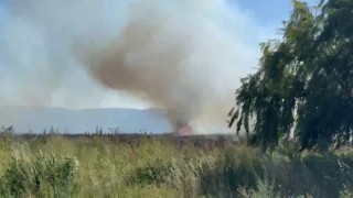 Bursada farklı noktalardan anız yangınları