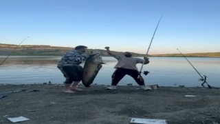 Bursada iki arkadaş oltayla 165 santimetrelik balık tuttu
