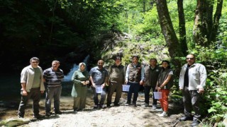 Bursanın iç sularına 12 bin alabalık salımı yapıldı