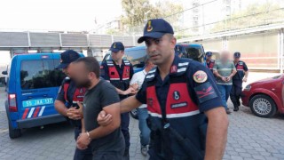 Büyükbaş hayvan hırsızlığına 3 gözaltı