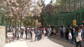 Büyükşehirin müzeleri ve doğal yaşam parkı, ziyaretçi akınına uğradı