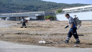 Büyükşehirin temizlik ekipleri sahada