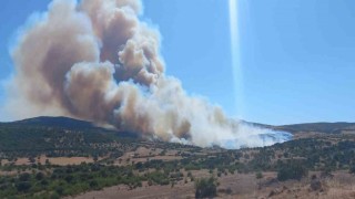 Çanakkalede çöplükte başlayan yangın ormanlık alana sıçradı