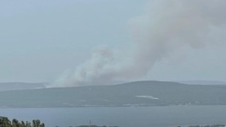 Çanakkalede orman yangını