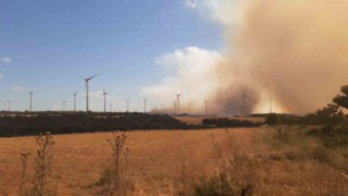 Çanakkalede tarım arazisinde çıkan yangına müdahale sürüyor