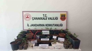 Çanakkalede uyuşturucu operasyonu: 12 gözaltı