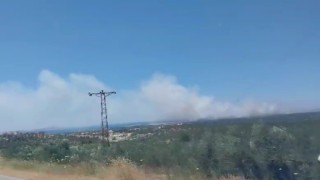 Çanakkalede yangına havadan ve karadan müdahale ediliyor