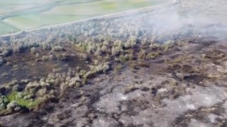 Çankırıda çıkan yangında 80 dönümlük mera kül oldu
