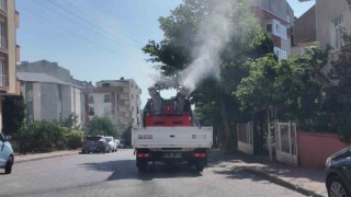 Çayırovada vektörle mücadele sürüyor