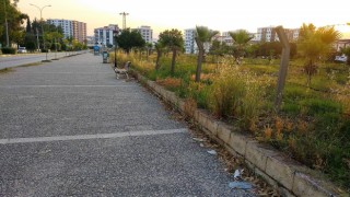 Çevre haftasında bu görüntüler üniversite yoluna yakışmıyor