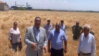 CHP’li Gürer’den buğday taban fiyat tepkisi “Çiftçi belini doğrultamaz”