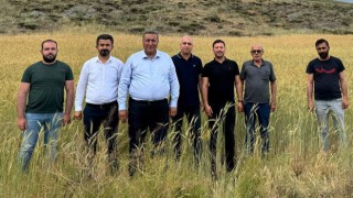 CHP'li Gürer'den Hububat Alım Fiyatlarına Tepki