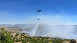 Çobanın çay ateşi ormana sıçradı