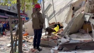 Çöken binanın enkazında köpek ile arama yapılıyor