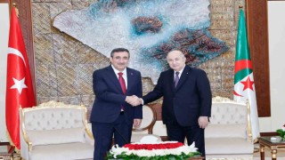 Cumhurbaşkanı Yardımcısı Yılmaz, Cezayir Cumhurbaşkanı Abdülmecid Tebbun bir araya geldi