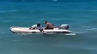 Dalgayla açığa sürüklenen kadının hayatını gençler kurtardı