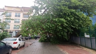 Denizli ve çevre illerde kuvveti fırtına uyarısı yapıldı