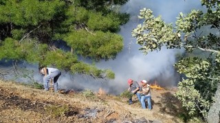 Denizlide orman yangını