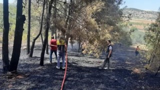 Denizlide orman yangını kısa sürede kontrol altına alındı