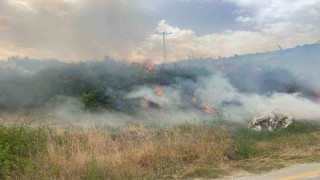 Denizlide üç noktada orman yangını çıktı
