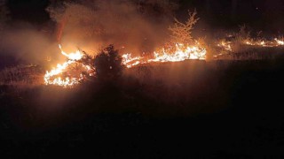 Denizlide yangınla mücadele 21 saattir devam ediyor