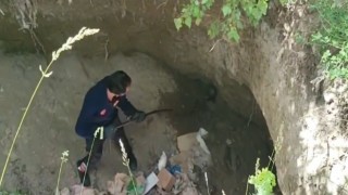 Dev çukurda mahsur kalan Sarsar kurtarıldı