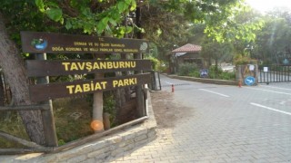 Didimde orman kampı açıldı