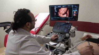 Dişlerde ortaya çıkan ‘Porphyromonas gingivalis bakterisi gebelik sürecini doğrudan etkiliyor