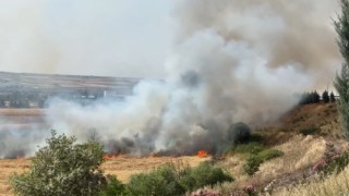 Diyarbakırda 300 dönüm ekili buğday yandı