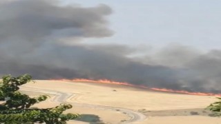 Diyarbakırda bir mahallede başlayan yangın, başka mahallede söndürüldü