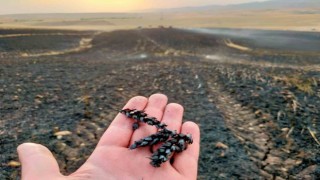 Diyarbakırda ekin tarlasında yangın