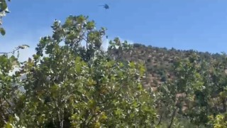 Diyarbakırda orman yangını: Havadan ve karadan müdahale ile söndürüldü