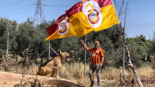 Diyarbakırlı taraftar, Galatasarayın 24. şampiyonluğunu aslanlarıyla kutladı