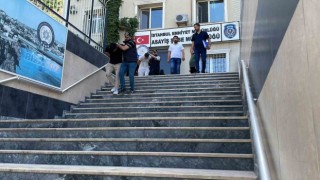 Dolandırıcılardan jigolo vurgunu: Jigolo sitesine girdiniz diyerek vurgun yaptılar