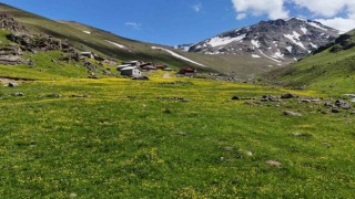 Dulağa Yaylasının Alpleri aratmayan güzelliği