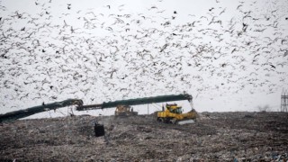 Dünya Çevre Günü: Samsunda günde bin ton çöp bertaraf ediliyor