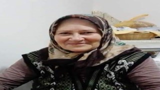 Dut toplarken ağaçtan düşen kadın hayatını kaybetti