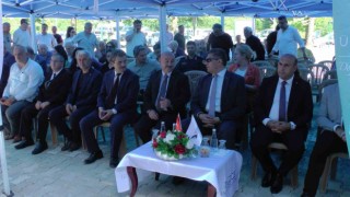 Düzcede tek ağaç fındık sistemi hayata geçecek