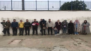 Edirnede 16 düzensiz kaçak göçmen yakalandı