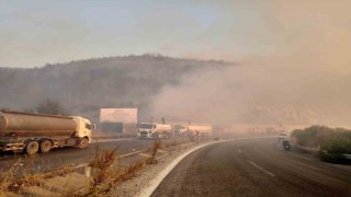Efeler Belediyesinden yangın söndürme çalışmalarına destek