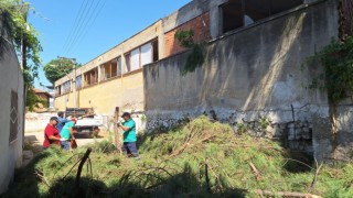 Efelerde elektrik tellerine temas eden ağaçlar budandı