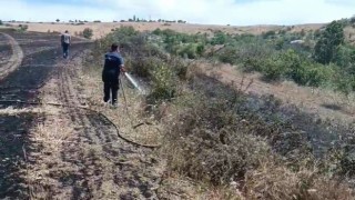 Ekili tarım arazisinde korkutan yangın