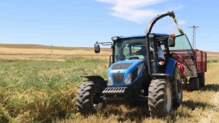 Elazığ Tarım ve Orman Müdürü Kılıç, “879 çiftçiye 1 milyon 730 bin TL ödeme yapıldı”