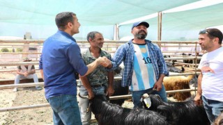 Elazığda kurban satış ve kesim noktasında hazırlıklar tamamlandı