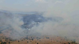 Elazığda orman yangını: Ekiplerin havadan ve karadan müdahalesi sürüyor